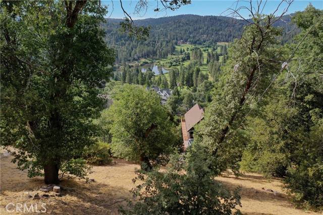 Lake Arrowhead, CA 92352,0 Sonoma Drive