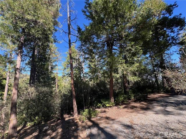 Lake Arrowhead, CA 92352,27530 North Bay Road