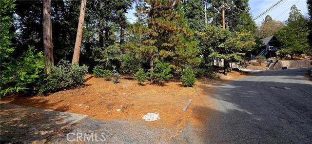 Lake Arrowhead, CA 92352,308 Pioneer Road