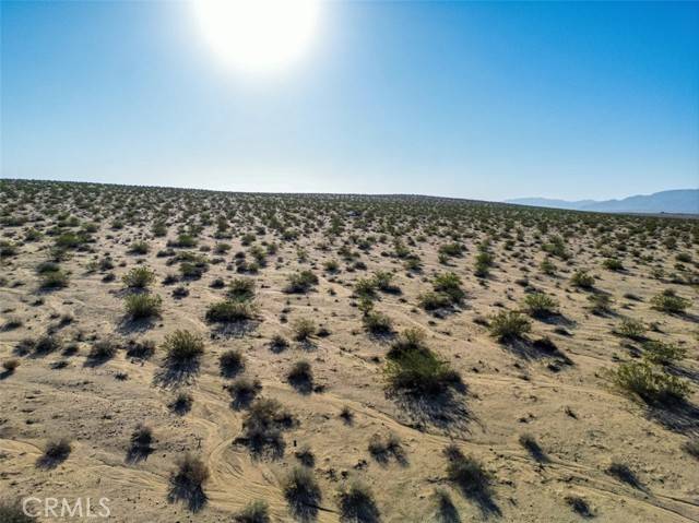 Joshua Tree, CA 92252,1962 Bourland Pass Road