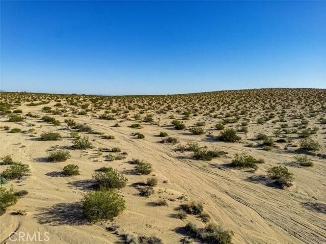 Joshua Tree, CA 92252,1962 Bourland Pass Road