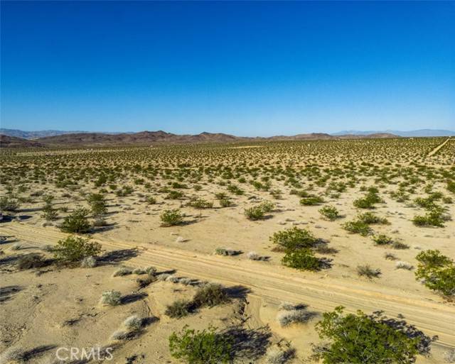 Joshua Tree, CA 92252,1962 Bourland Pass Road