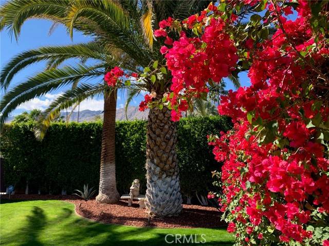 Palm Springs, CA 92262,1222 Tamarisk Road