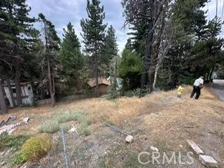 Rimforest, CA 92378,1231 Scenic way