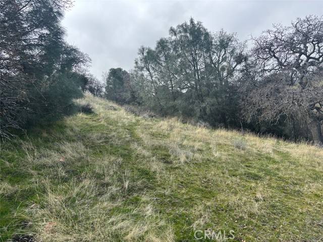Keene, CA 93531,0 Hart Oaks Dr