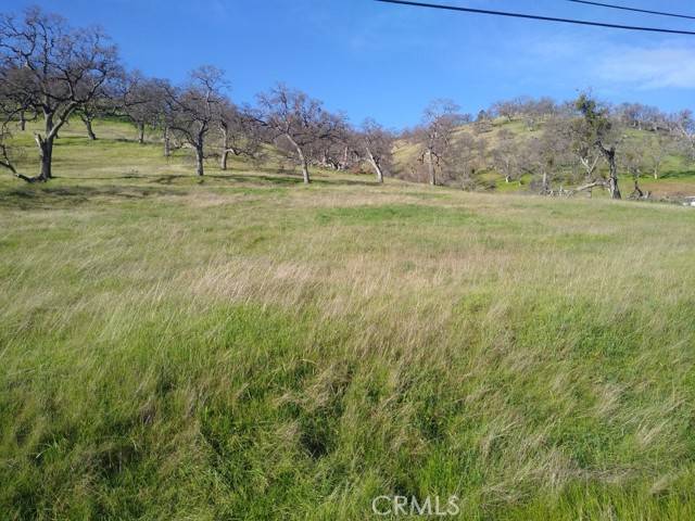 La Grange, CA 95329,0 Banderilla Drive