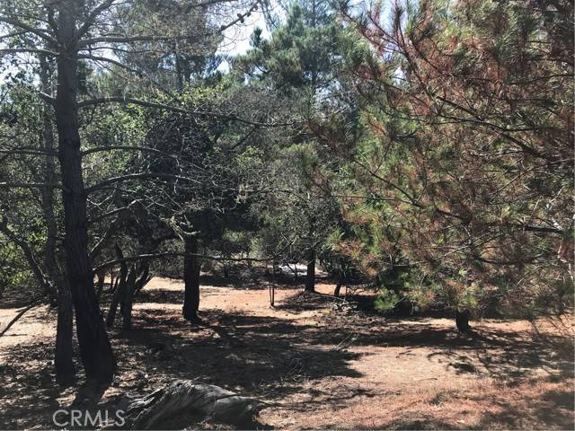 Cambria, CA 93428,0 Tully Place