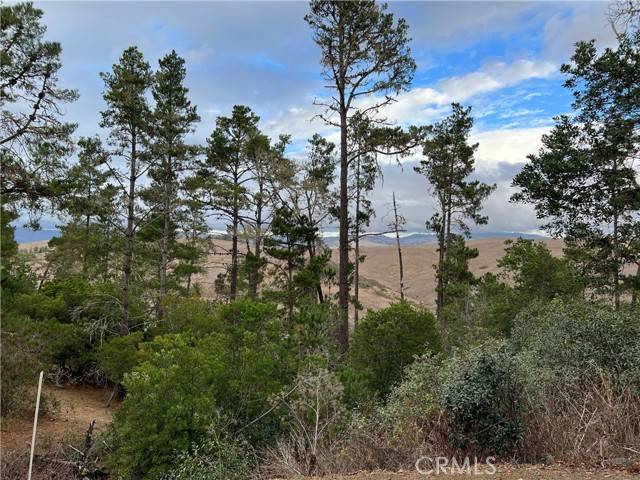 Cambria, CA 93428,1925 Arliss Drive