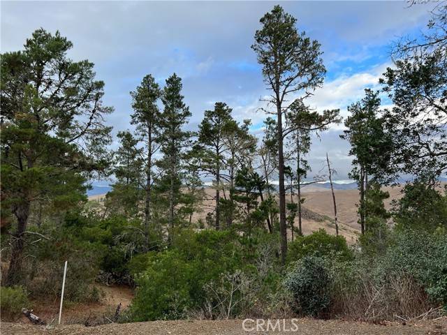 Cambria, CA 93428,1925 Arliss Drive