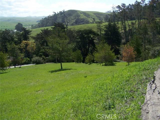 Cambria, CA 93428,0 Linden Court