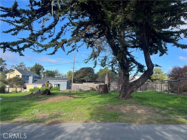 Cambria, CA 93428,0 Blythe Place