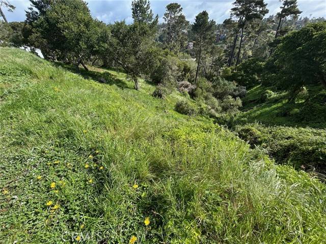 Cambria, CA 93428,0 Plymouth Street
