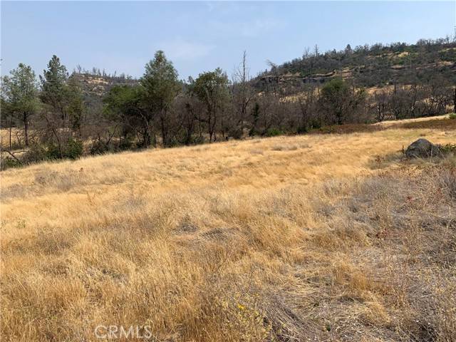 Butte Valley, CA 95965,3923 Dry Creek Road