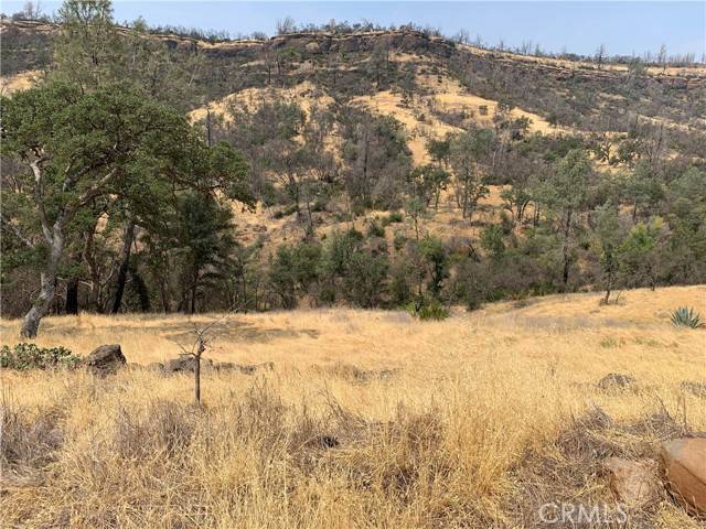 Butte Valley, CA 95965,3923 Dry Creek Road