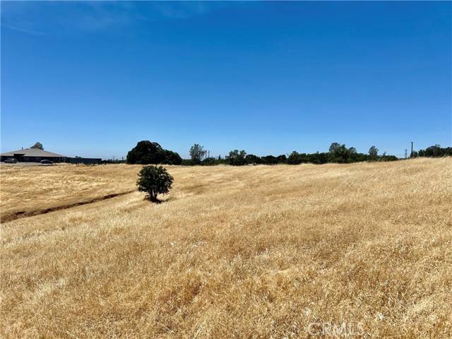 Oroville, CA 95966,0 Daly Avenue