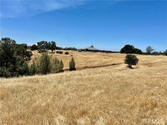 Oroville, CA 95966,0 Daly Avenue