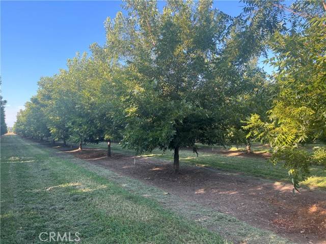 Chico, CA 95973,14450 Meridian Road