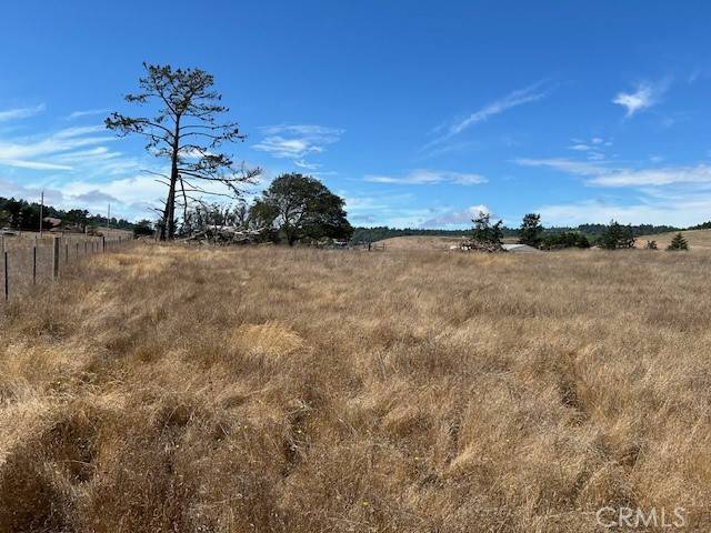 Bodega, CA 94922,330 Valley Ford Freestone Road