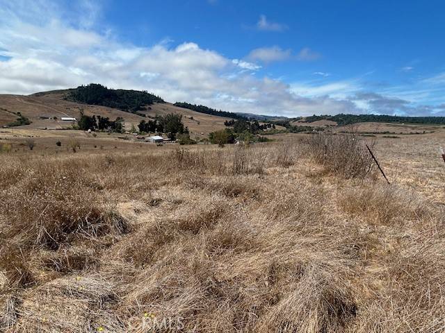 Bodega, CA 94922,330 Valley Ford Freestone Road