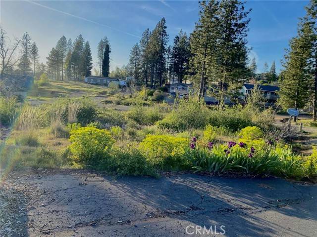 Magalia, CA 95954,13589 Miwok