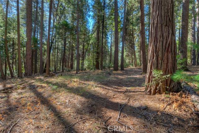 Magalia, CA 95954,0 Fern Glenn Way