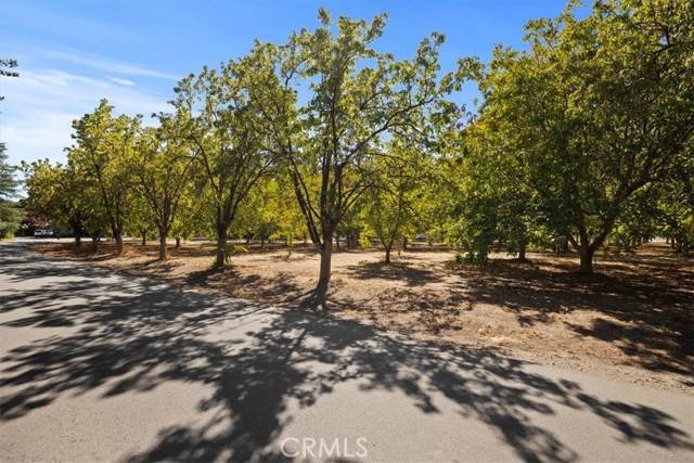 Chico, CA 95973,0 Bell Estates Drive