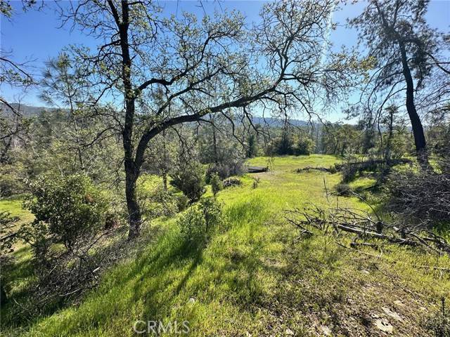 Oroville, CA 95966,169 Shady Oak Drive