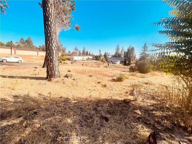 Paradise, CA 95969,5885 Pine Circle