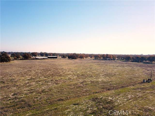 Corning, CA 96021,1882 Capay Road
