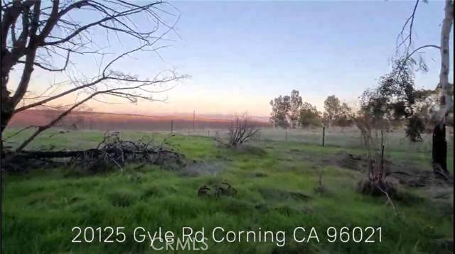 Corning, CA 96021,20125 Gyle Road