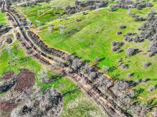 Cottonwood, CA 96022,0 TREEFOIL