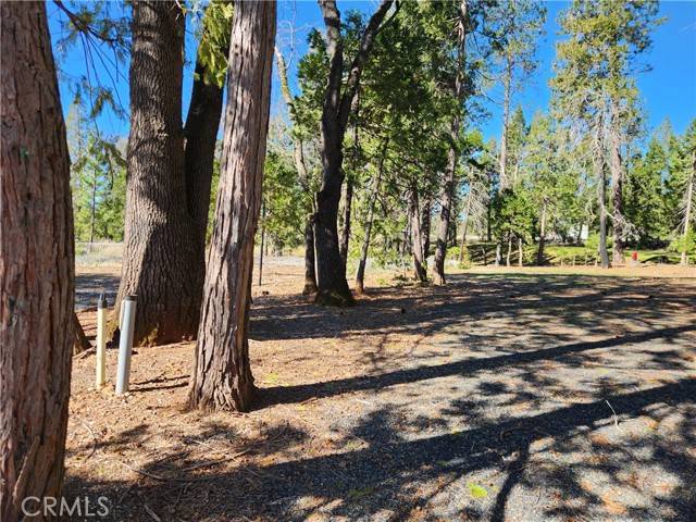 Magalia, CA 95954,13705 Endicot Circle