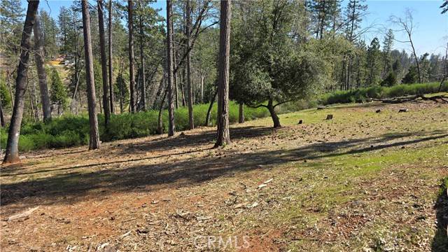 Paradise, CA 95969,1712 Connell Lane