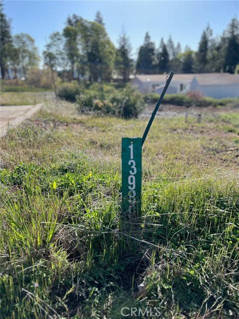 Magalia, CA 95954,13980 Potomac Drive