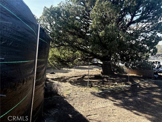 Weed, CA 96064,17 Lot 17 Jennie