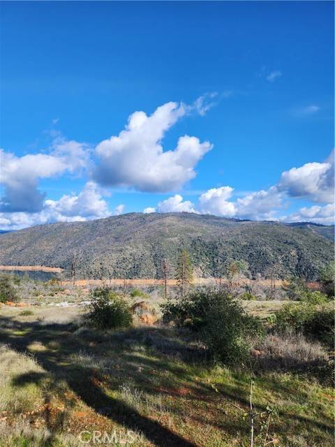 Oroville, CA 95965,3901 Tippy Top Road