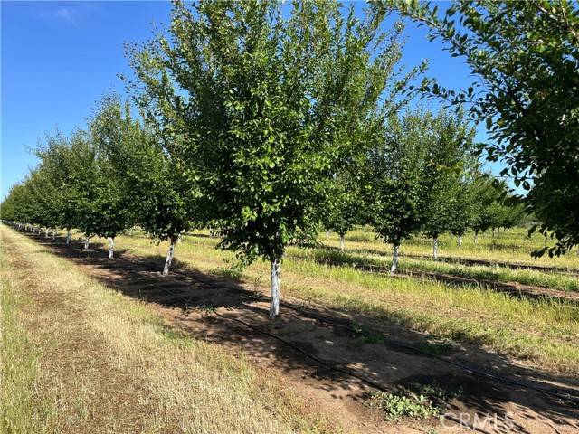 Red Bluff, CA 96080,0 Volcano Way