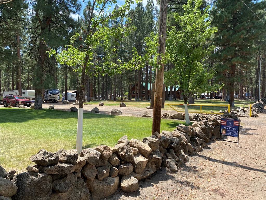 Other - See Remarks, CA 96130,687790 Chinquepin