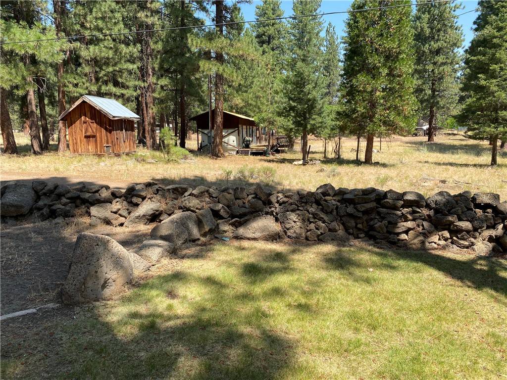 Other - See Remarks, CA 96130,687790 Chinquepin