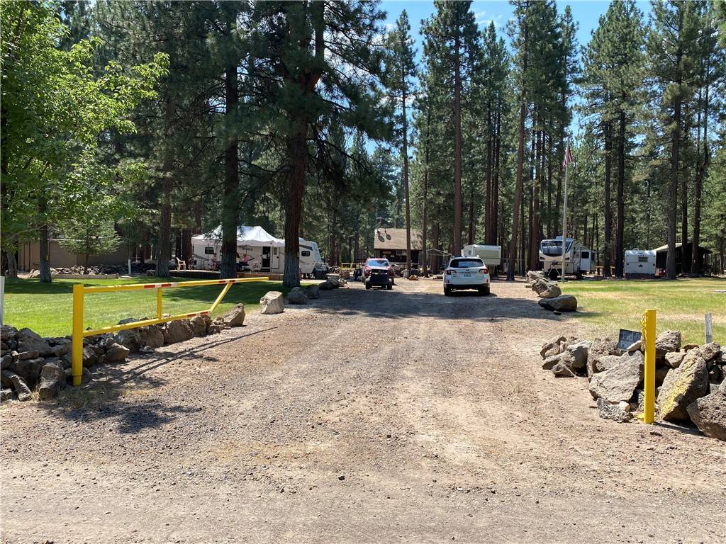 Other - See Remarks, CA 96130,687790 Chinquepin