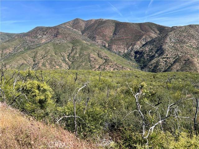 Elk Creek, CA 95963,0 County Road 313