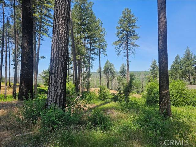 Paradise, CA 95969,6649 Lincoln Drive