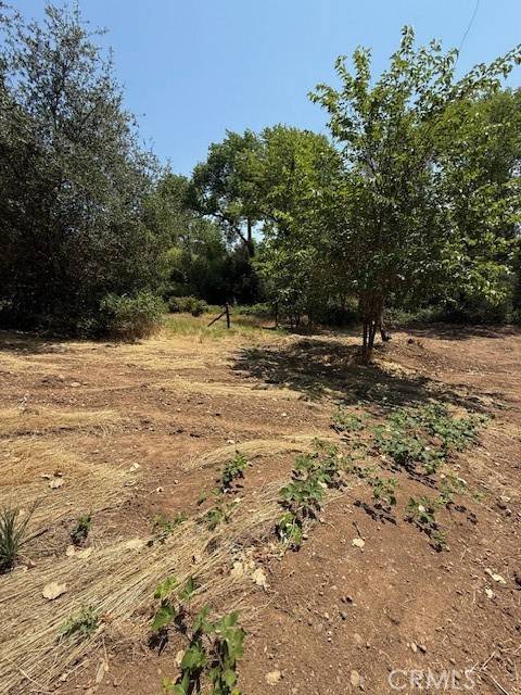 Oroville, CA 95966,2673 Foothill Boulevard