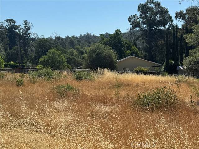 Oroville, CA 95966,0 Bessie Ln Lane