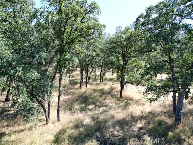 Corning, CA 96021,16625 Rancho Tehama Road