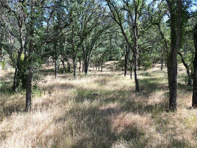 Corning, CA 96021,16625 Rancho Tehama Road