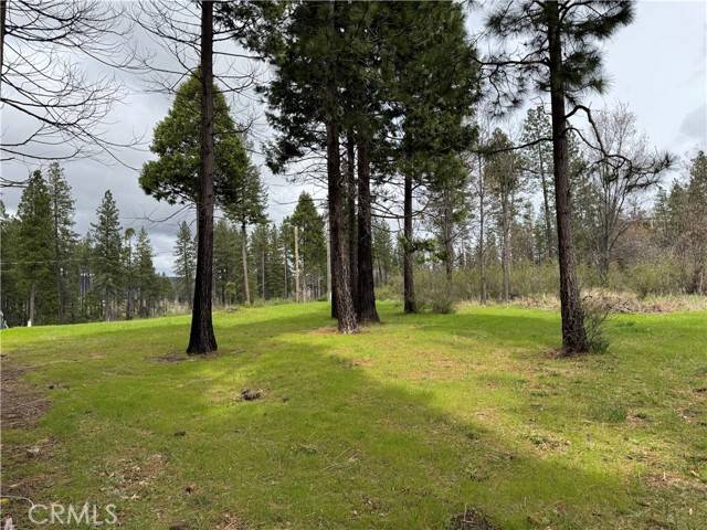 Oroville, CA 95965,4034 Ishi Trail