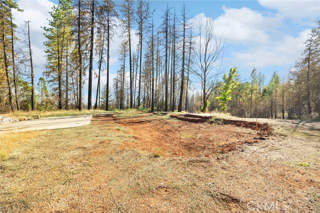 Cohasset, CA 95973,9640 Cohasset Road