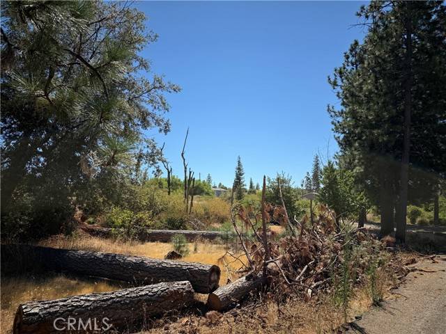 Magalia, CA 95954,6710 Ishi Drive