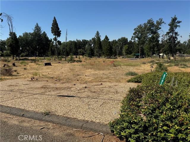 Magalia, CA 95954,6292 Dimitri Court